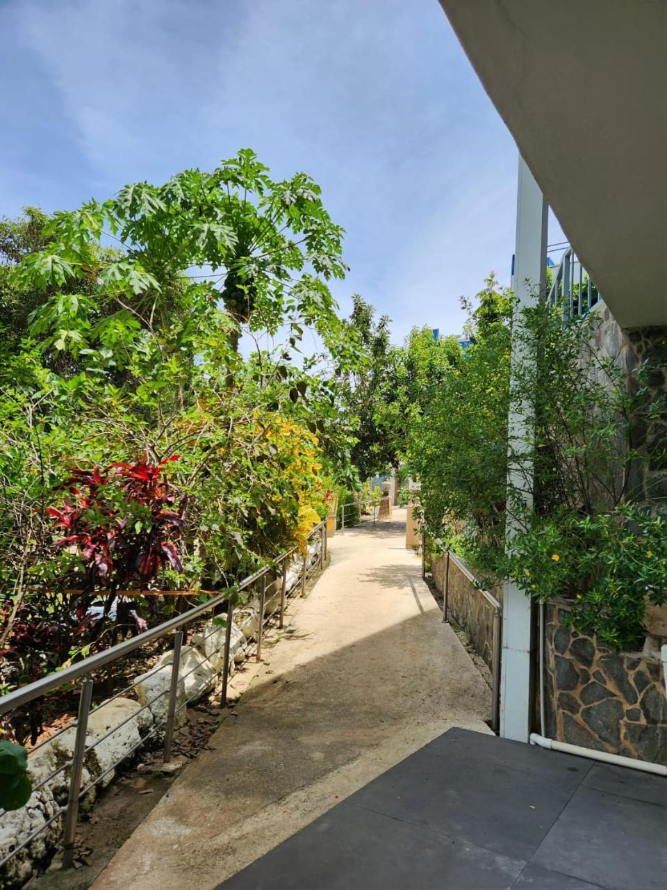 Hotel Ticozuma 蒙特苏马 外观 照片